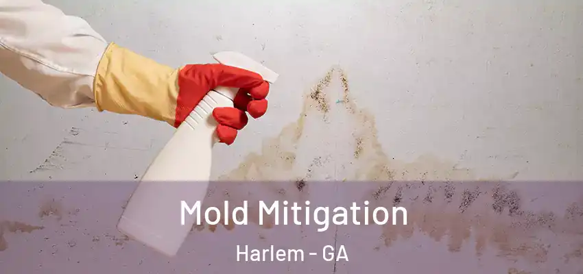 Mold Mitigation Harlem - GA