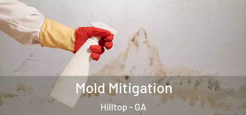 Mold Mitigation Hilltop - GA