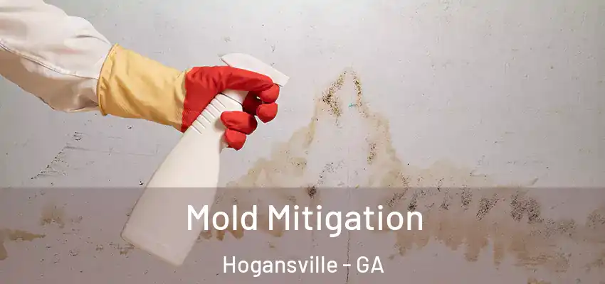 Mold Mitigation Hogansville - GA