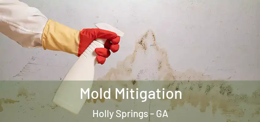  Mold Mitigation Holly Springs - GA