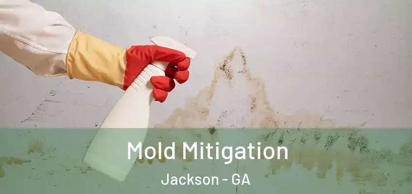 Mold Mitigation Jackson - GA