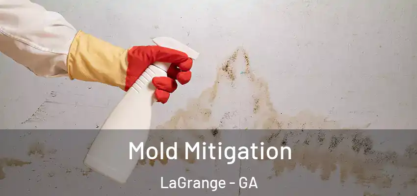 Mold Mitigation LaGrange - GA
