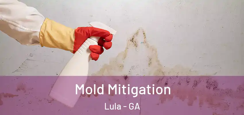Mold Mitigation Lula - GA