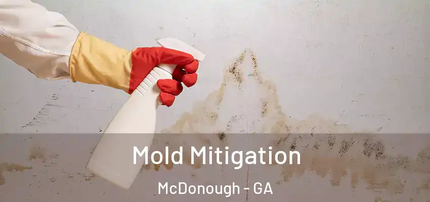 Mold Mitigation McDonough - GA