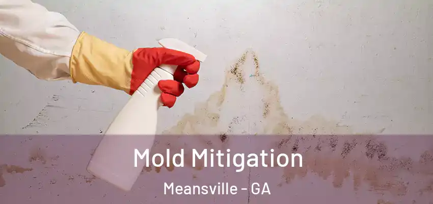 Mold Mitigation Meansville - GA