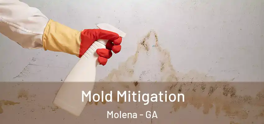 Mold Mitigation Molena - GA