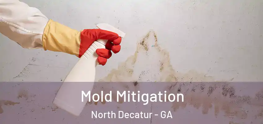 Mold Mitigation North Decatur - GA