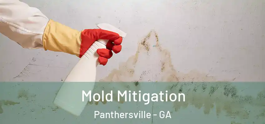 Mold Mitigation Panthersville - GA