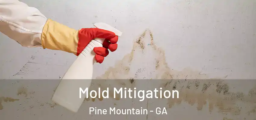 Mold Mitigation Pine Mountain - GA