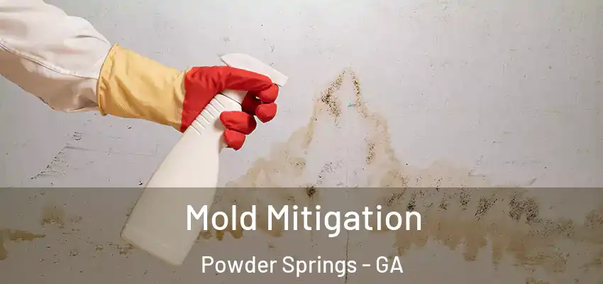 Mold Mitigation Powder Springs - GA
