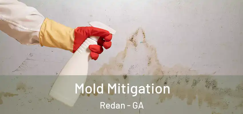 Mold Mitigation Redan - GA