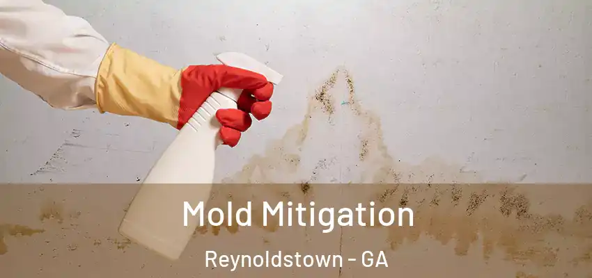 Mold Mitigation Reynoldstown - GA