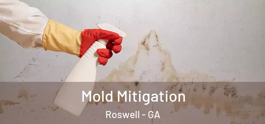 Mold Mitigation Roswell - GA