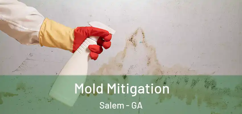 Mold Mitigation Salem - GA