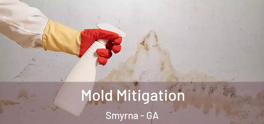 Mold Mitigation Smyrna - GA