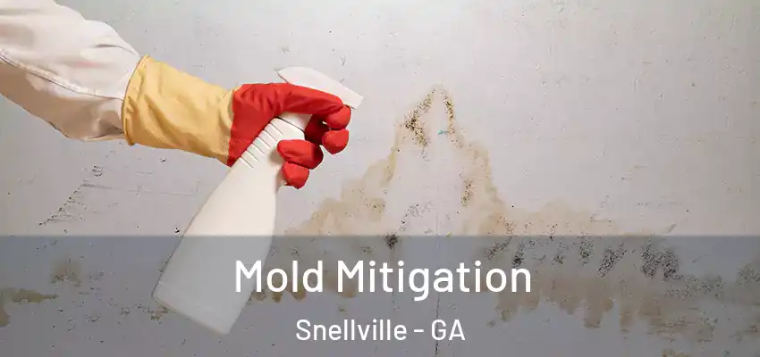 Mold Mitigation Snellville - GA