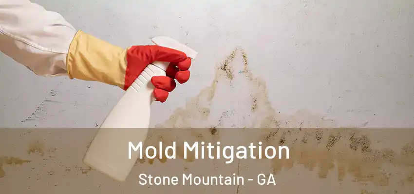 Mold Mitigation Stone Mountain - GA