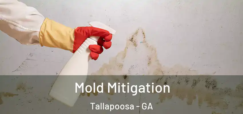 Mold Mitigation Tallapoosa - GA