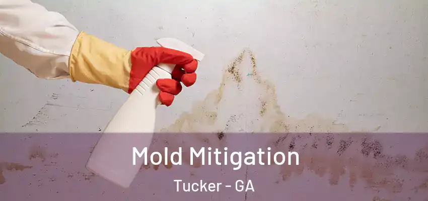 Mold Mitigation Tucker - GA