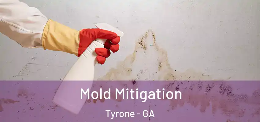 Mold Mitigation Tyrone - GA