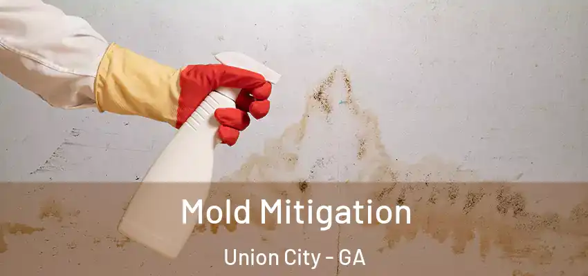 Mold Mitigation Union City - GA