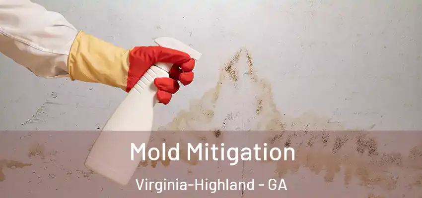 Mold Mitigation Virginia-Highland - GA