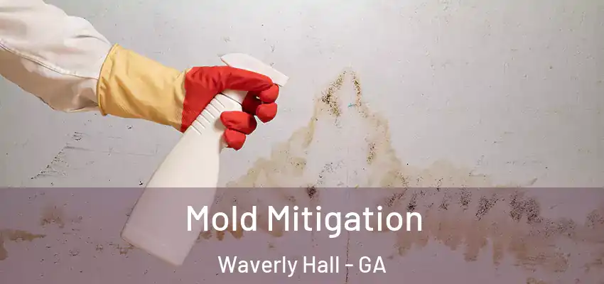 Mold Mitigation Waverly Hall - GA