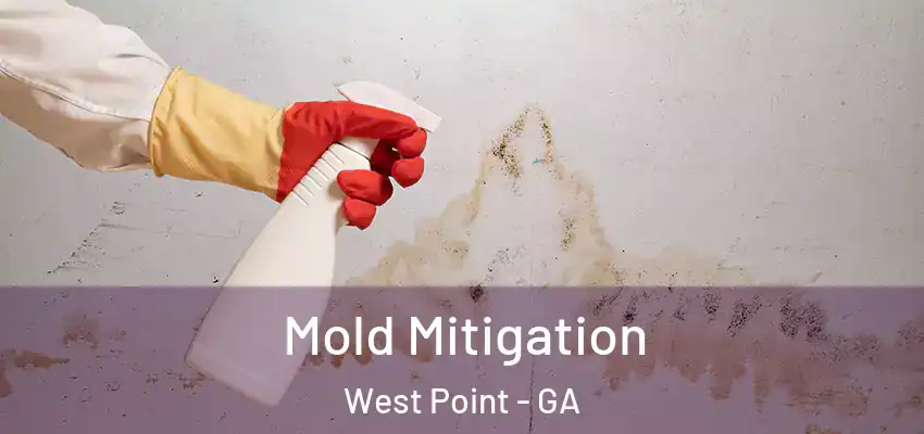 Mold Mitigation West Point - GA