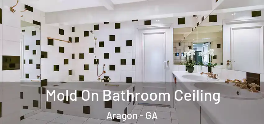 Mold On Bathroom Ceiling Aragon - GA