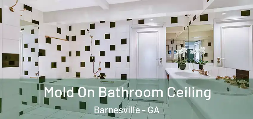 Mold On Bathroom Ceiling Barnesville - GA