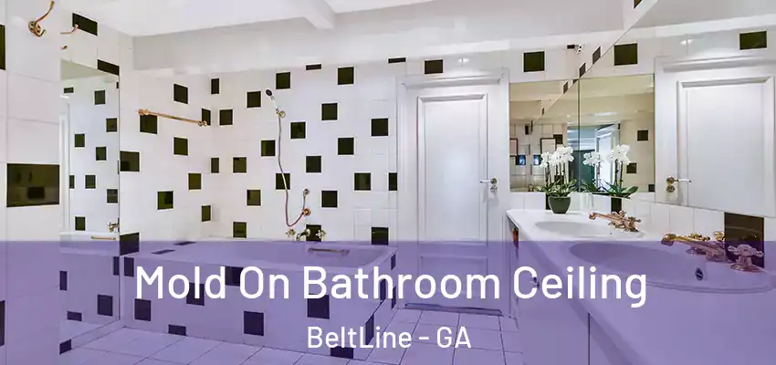 Mold On Bathroom Ceiling BeltLine - GA