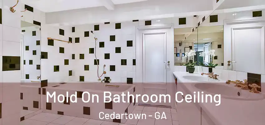 Mold On Bathroom Ceiling Cedartown - GA