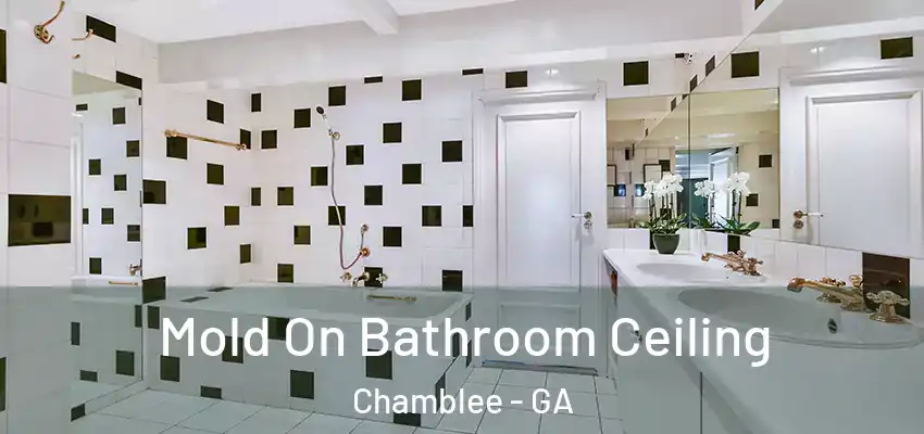  Mold On Bathroom Ceiling Chamblee - GA