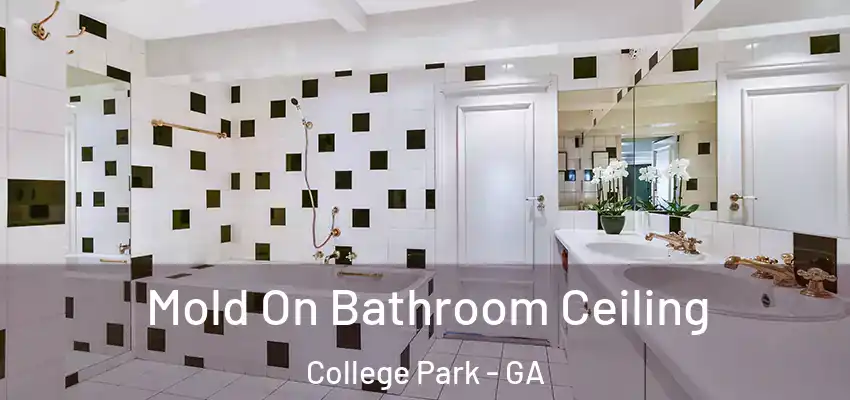  Mold On Bathroom Ceiling College Park - GA