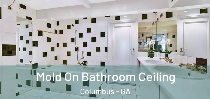 Mold On Bathroom Ceiling Columbus - GA