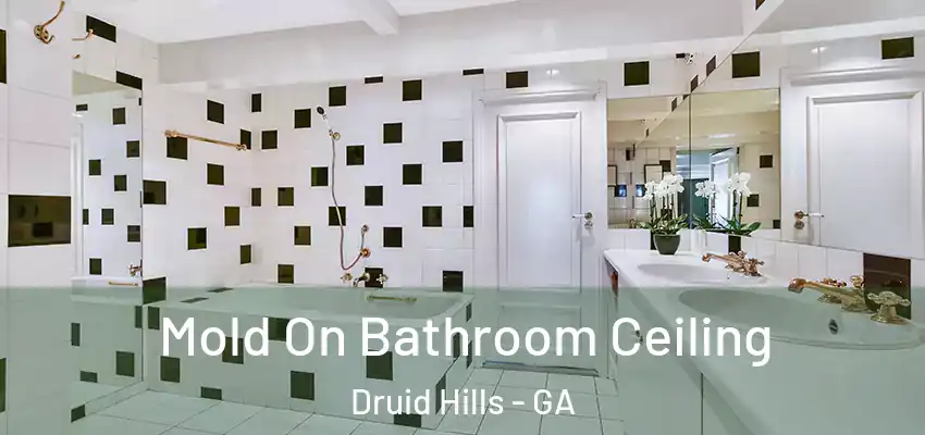 Mold On Bathroom Ceiling Druid Hills - GA