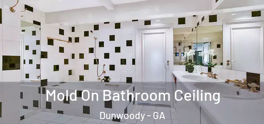 Mold On Bathroom Ceiling Dunwoody - GA