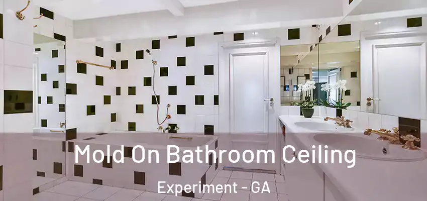 Mold On Bathroom Ceiling Experiment - GA