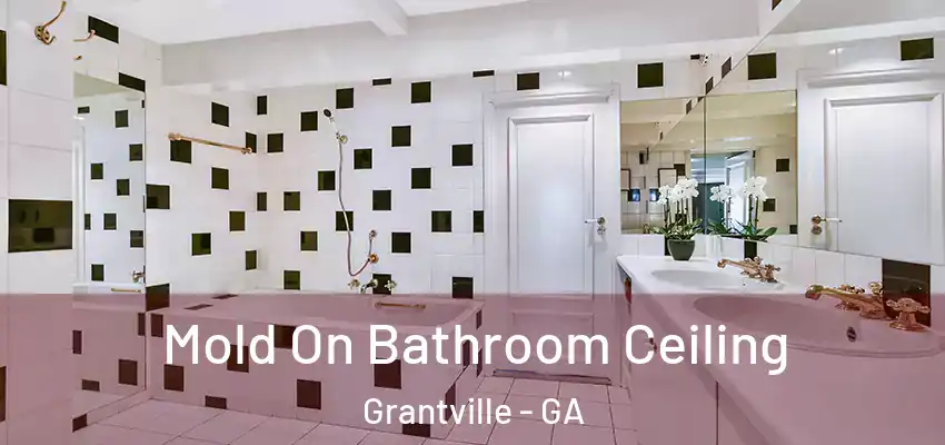 Mold On Bathroom Ceiling Grantville - GA
