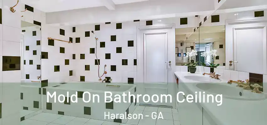 Mold On Bathroom Ceiling Haralson - GA