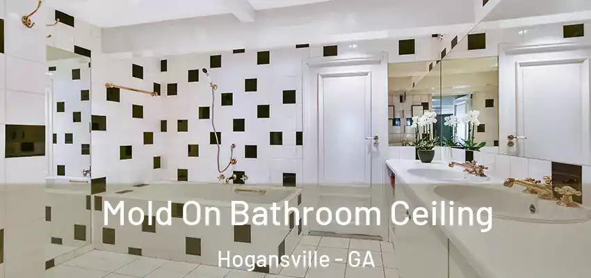 Mold On Bathroom Ceiling Hogansville - GA