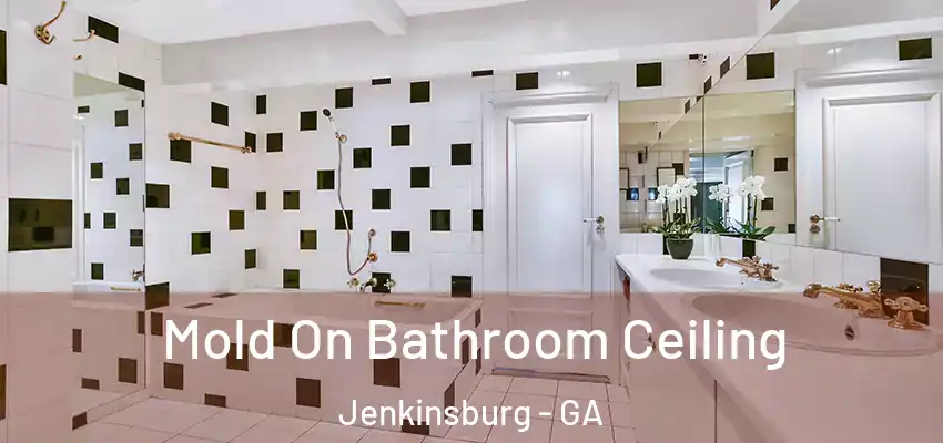  Mold On Bathroom Ceiling Jenkinsburg - GA