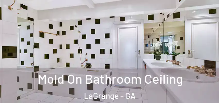 Mold On Bathroom Ceiling LaGrange - GA