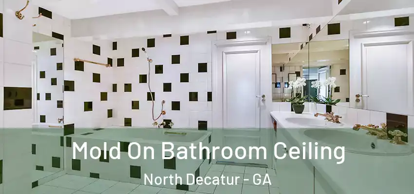 Mold On Bathroom Ceiling North Decatur - GA