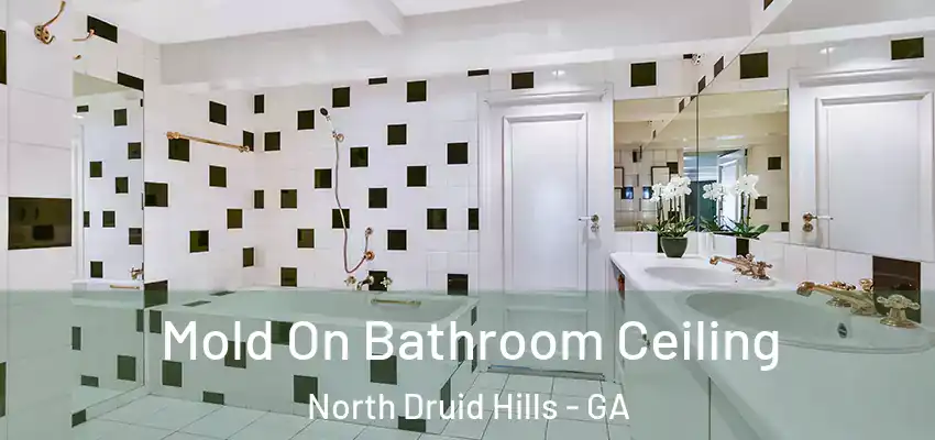 Mold On Bathroom Ceiling North Druid Hills - GA