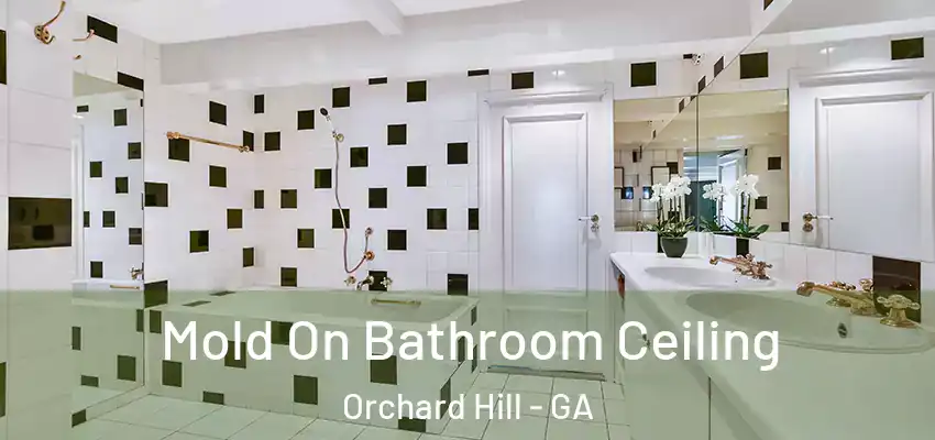  Mold On Bathroom Ceiling Orchard Hill - GA