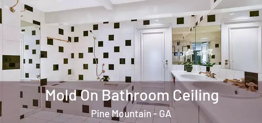 Mold On Bathroom Ceiling Pine Mountain - GA