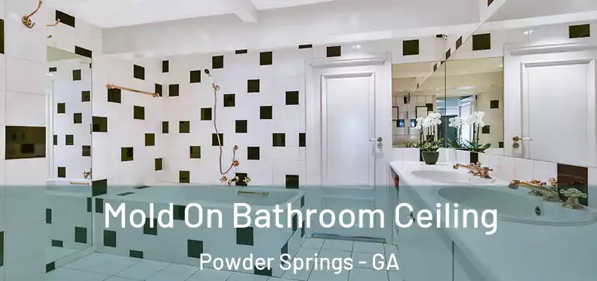 Mold On Bathroom Ceiling Powder Springs - GA