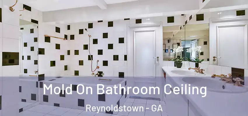 Mold On Bathroom Ceiling Reynoldstown - GA