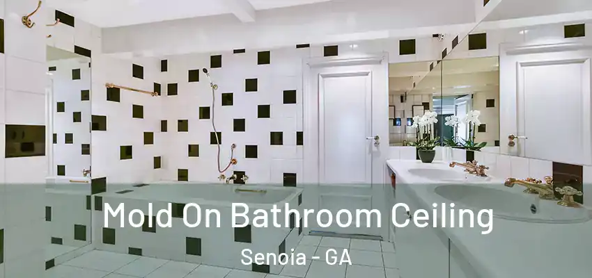 Mold On Bathroom Ceiling Senoia - GA